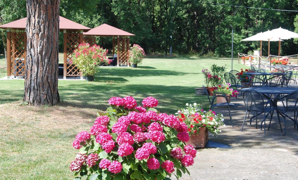 Agriturismo Antica Riserva Castiglione del Lago Εξωτερικό φωτογραφία